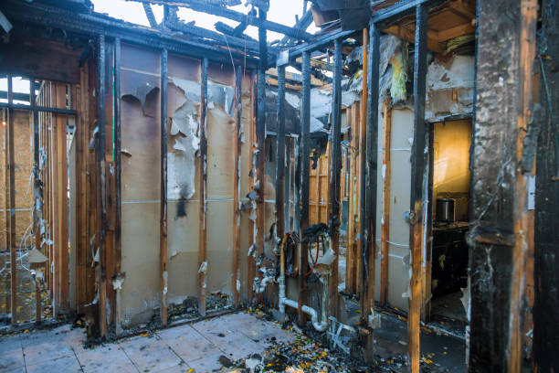 Professional Odor Removal technician working in Morton, MS